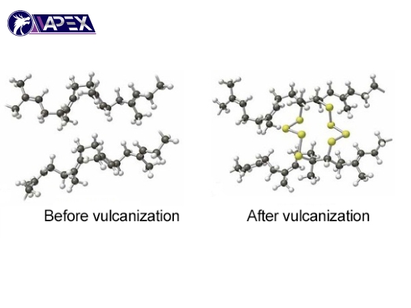 Rubber vulcanization is the process of forming cross-links between polymer chains